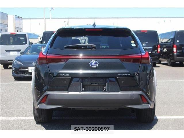 Lexus UX 2019-10 8849621-14