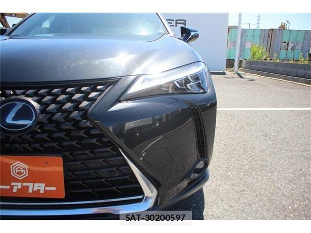Lexus UX 2019-10 8849621-25