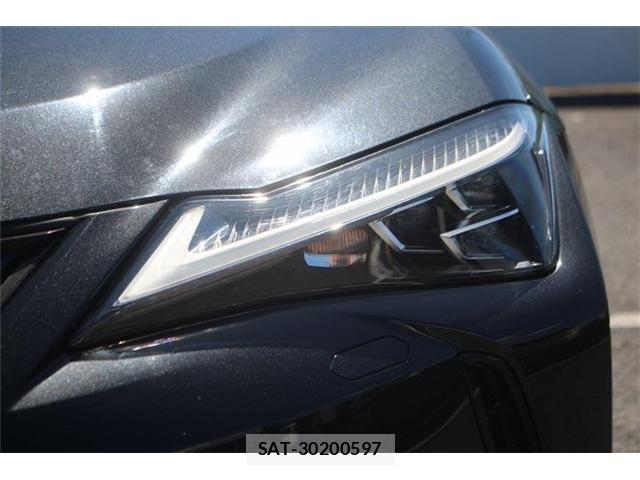 Lexus UX 2019-10 8849621-26