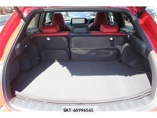 Lexus UX 2023-08 8848946-26