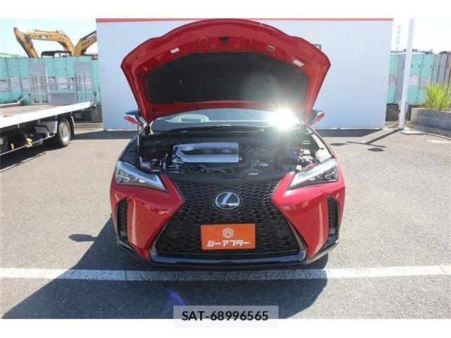 Lexus UX 2023-08 8848946-28