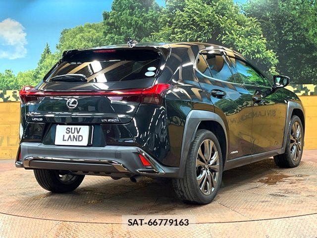 Lexus UX 2021-01 8871372-16