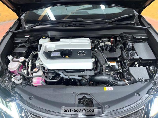 Lexus UX 2021-01 8871372-17