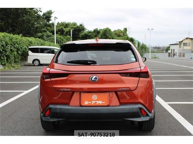Lexus UX 2018-11 8880577-12