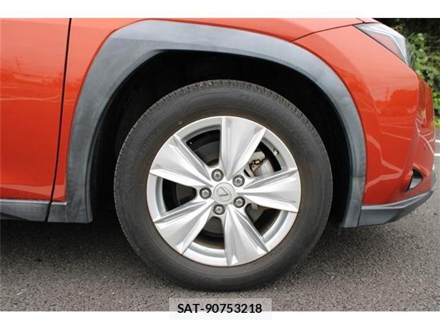 Lexus UX 2018-11 8880577-23