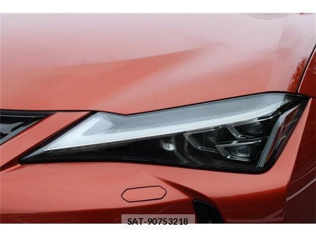 Lexus UX 2018-11 8880577-8