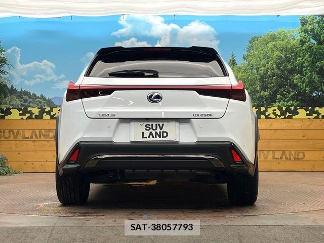 Lexus UX 2021-09 8880575-14