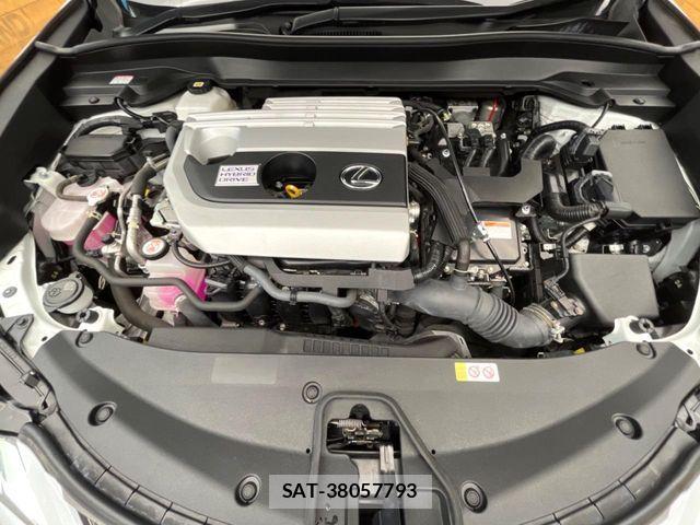 Lexus UX 2021-09 8880575-19