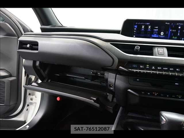 Lexus UX 2019-05 8880574-12