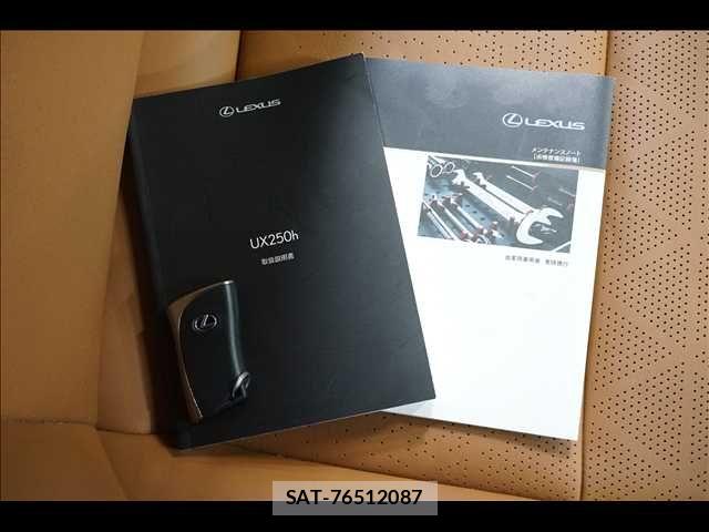 Lexus UX 2019-05 8880574-7