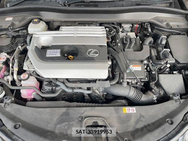 Lexus UX 2021-08 8883864-17