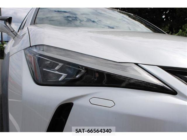 Lexus UX 2019-09 8883866-10