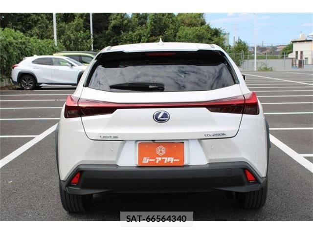Lexus UX 2019-09 8883866-15