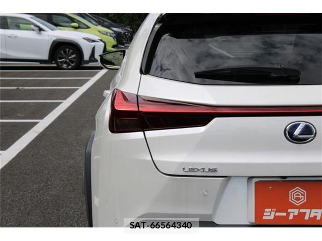 Lexus UX 2019-09 8883866-16