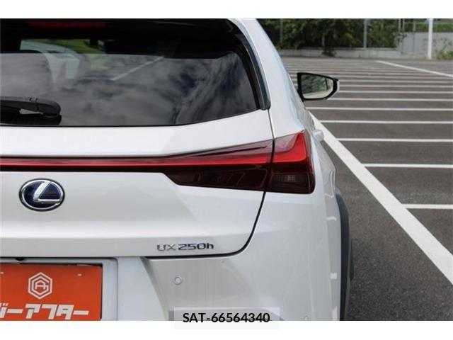 Lexus UX 2019-09 8883866-17