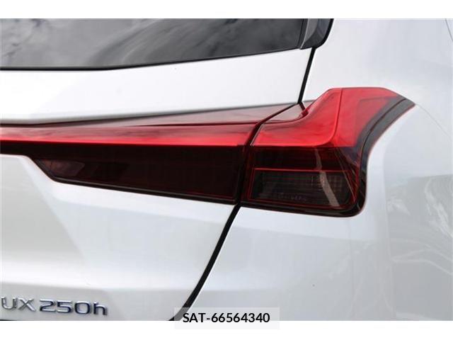 Lexus UX 2019-09 8883866-19