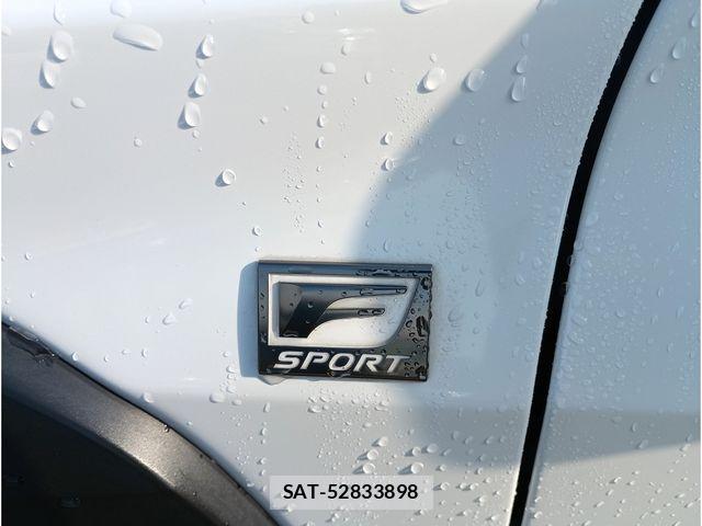 Lexus UX 2019-03 3675096-20