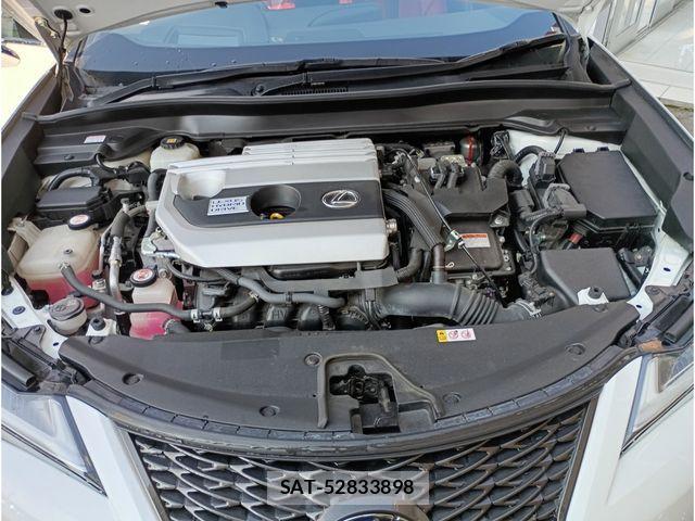 Lexus UX 2019-03 3675096-25