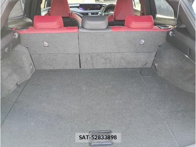 Lexus UX 2019-03 3675096-8