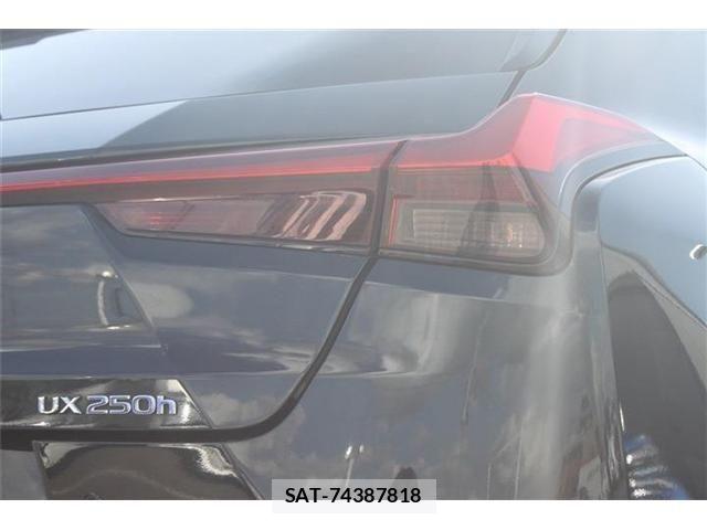 Lexus UX 2019-11 6815777-12