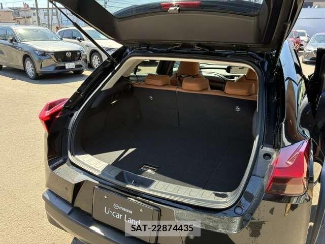 Lexus UX 2019-04 7059335-19