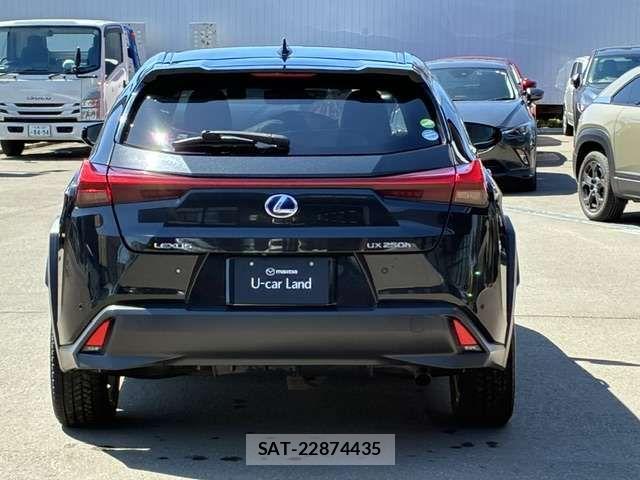 Lexus UX 2019-04 7059335-5