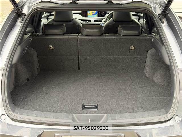 Lexus UX 2019-07 7221192-10
