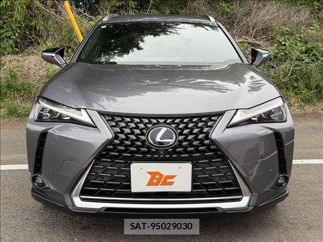 Lexus UX 2019-07 7221192-20