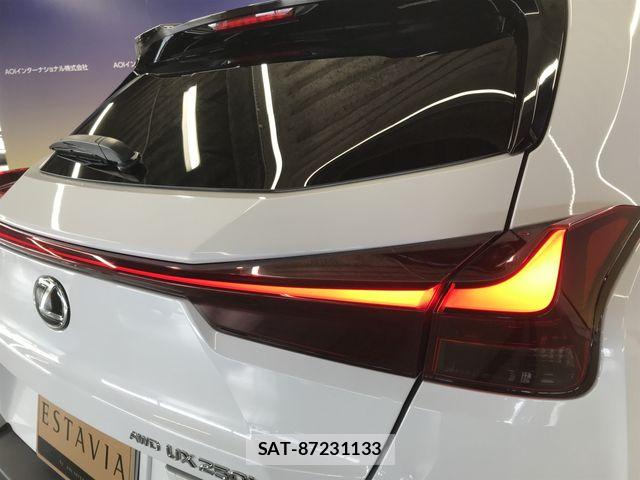 Lexus UX 2023-10 7272261-25