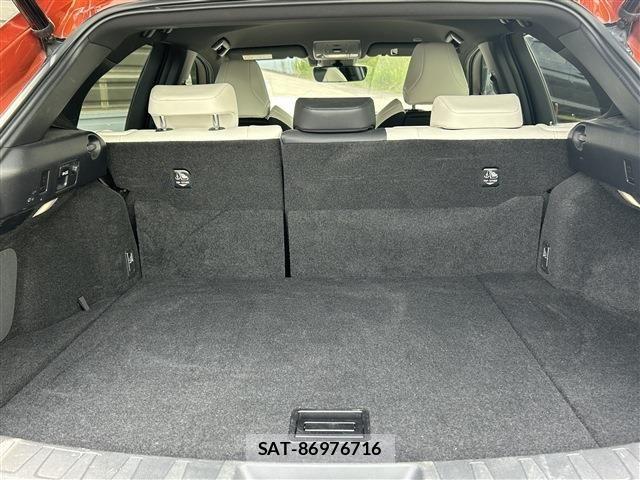 Lexus UX 2021-04 7455496-25