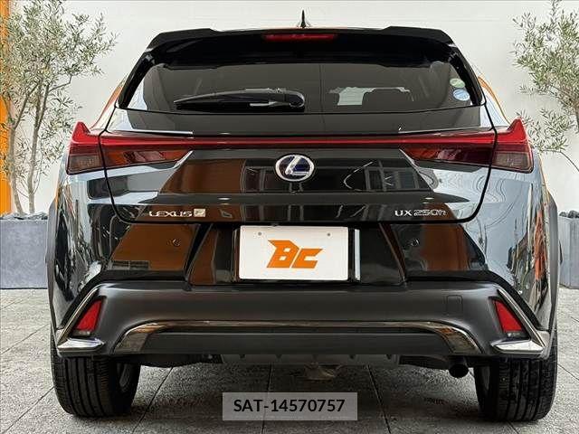Lexus UX 2019-03 7455497-13