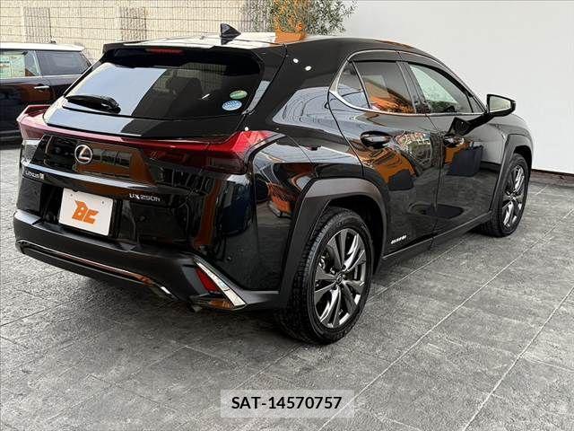 Lexus UX 2019-03 7455497-14