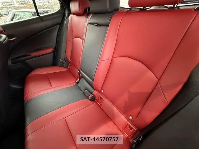 Lexus UX 2019-03 7455497-20