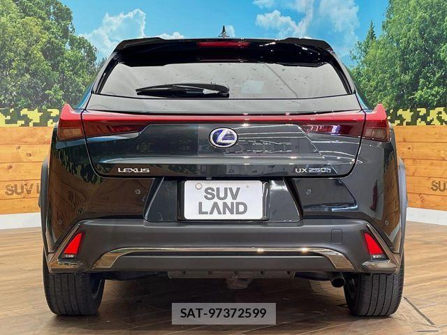Lexus UX 2019-03 7617770-16