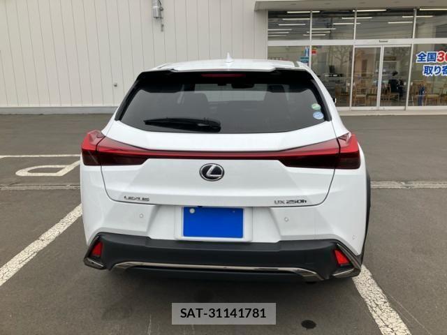 Lexus UX 2019-11 7617772-3