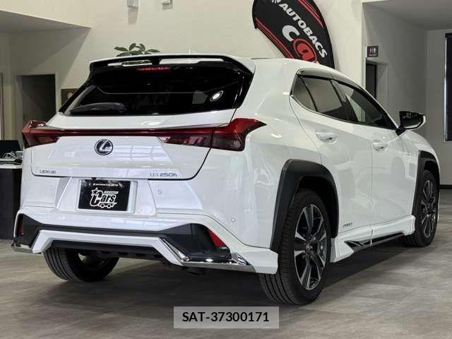 Lexus UX 2021-04 7877479-2