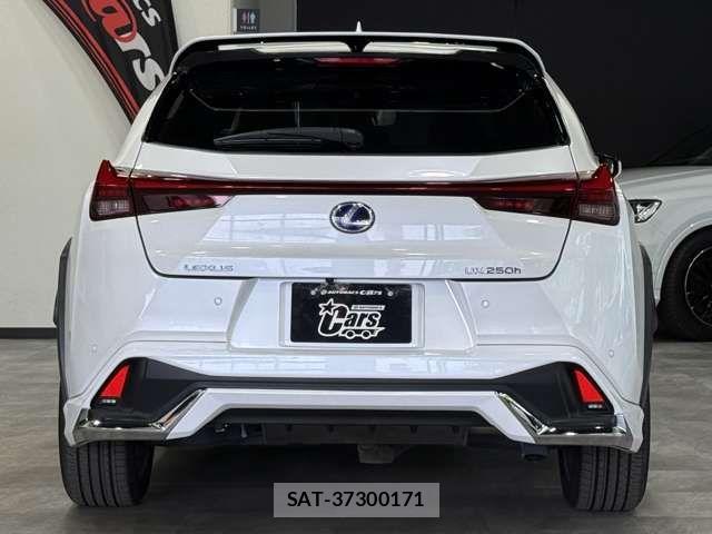 Lexus UX 2021-04 7877479-4