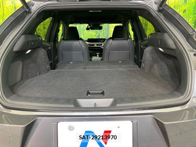 Lexus UX 2021-09 7962481-10