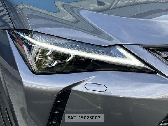 Lexus UX 2021-06 7979818-21