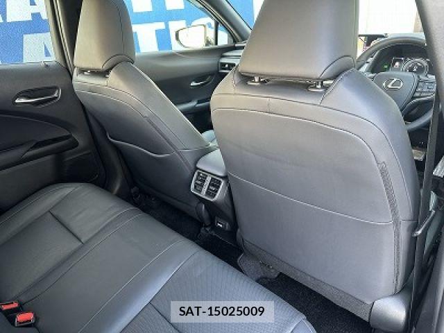 Lexus UX 2021-06 7979818-4