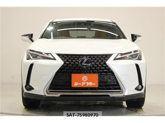 Lexus UX 2019-03 8315246-11