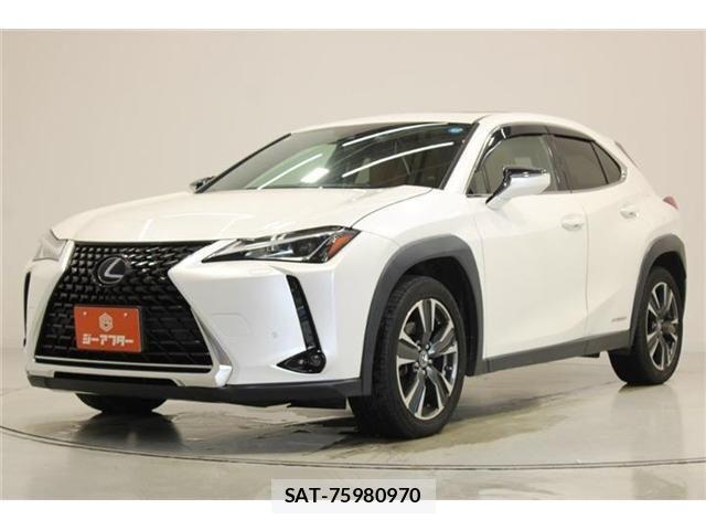 Lexus UX 2019-03 8315246-12