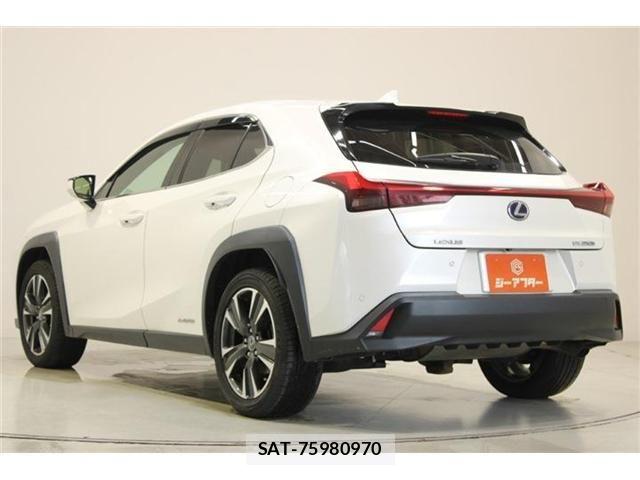 Lexus UX 2019-03 8315246-14