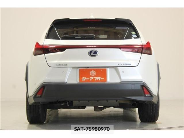 Lexus UX 2019-03 8315246-15