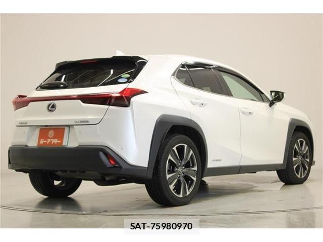 Lexus UX 2019-03 8315246-16