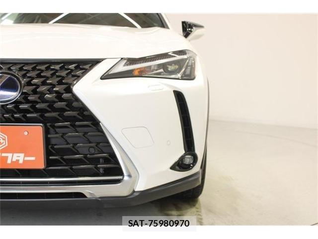 Lexus UX 2019-03 8315246-18