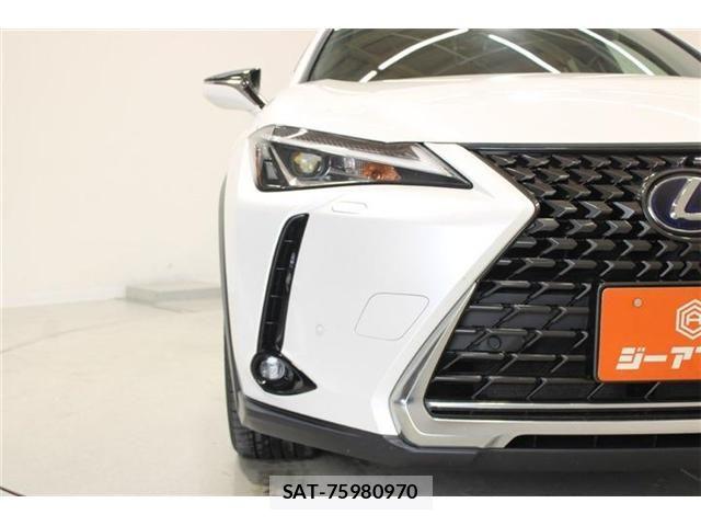 Lexus UX 2019-03 8315246-20