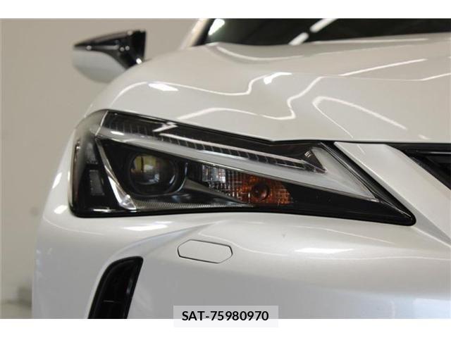 Lexus UX 2019-03 8315246-21