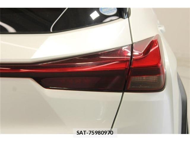 Lexus UX 2019-03 8315246-22