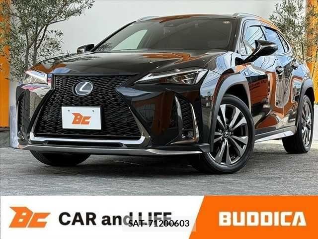 Lexus UX 2020-02 8315244-0
